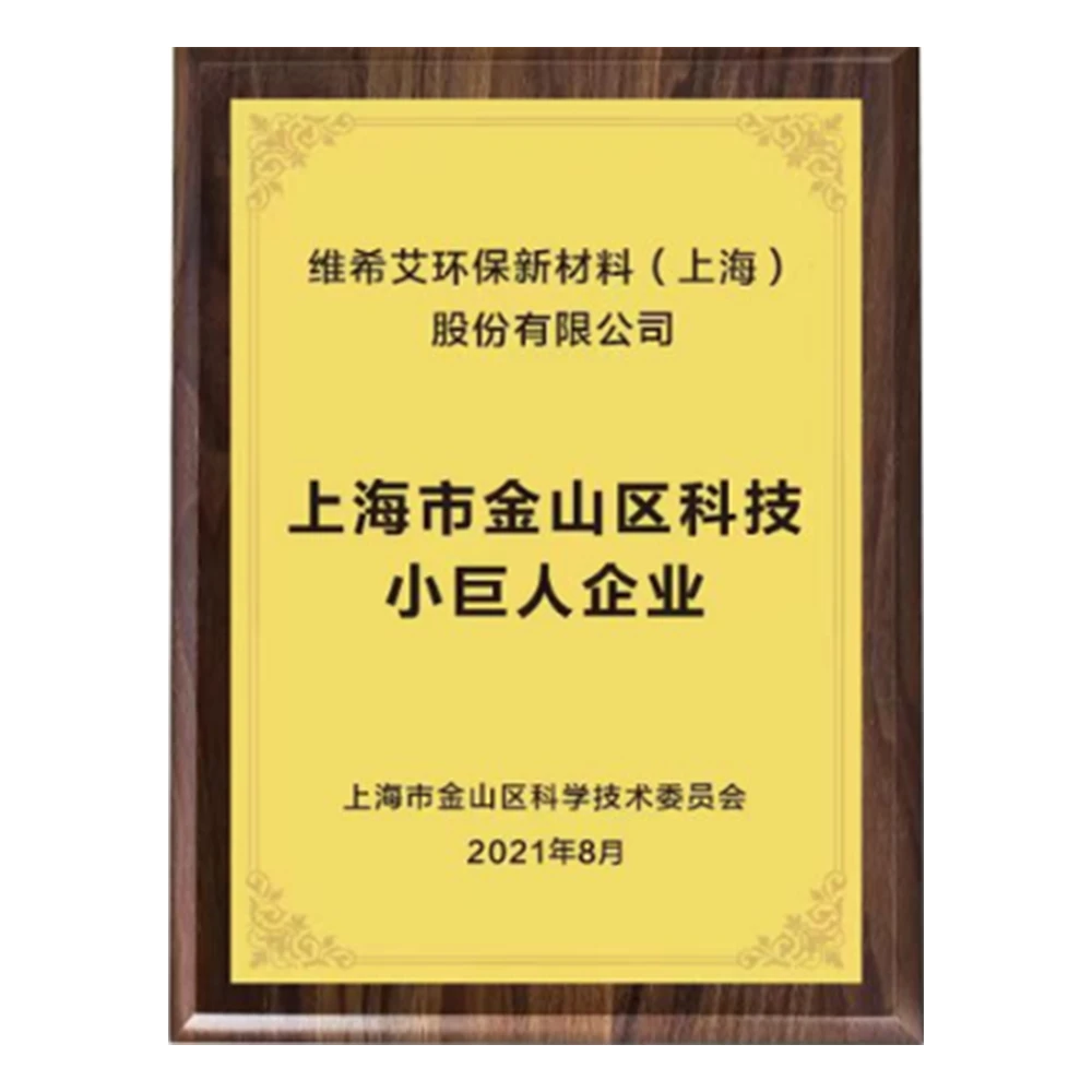 上海市金山区小巨人
